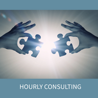 Consulting by the hour - See description