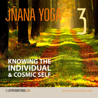 Jñana Yoga: Class 03 - Knowing the Individual & Cosmic Self