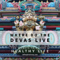 Oct 2, 2022 | Where Do The Devas Live - The Secrets To A Long & Healthy Life - Master Class with Jeffrey Armstrong 221002