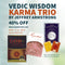 SALE -- Vedic Wisdom KARMA TRIO!